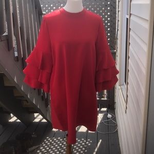 Red Part Dress with Balloon Sleeve